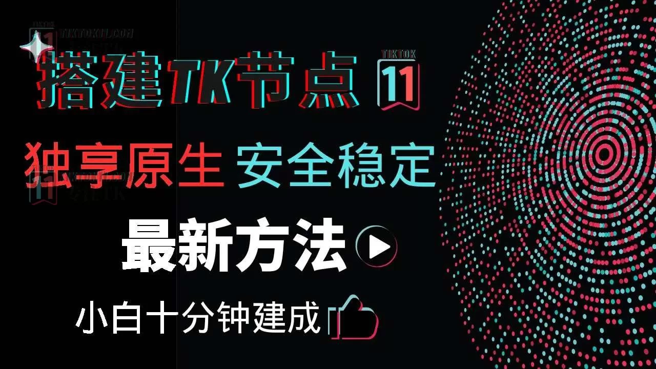 搭建自己的专属原生独享TikTok节点——最新最稳定的naive节点搭建